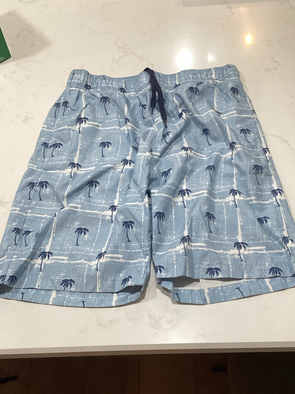 Laguna B Light Blue Palm-Print Swim Shorts